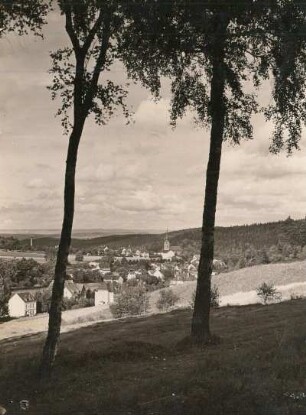 Bad Elster : Teilansicht von der oberen Agnesruh-Straße