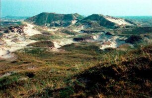 Norderney: Dünenlandschaft
