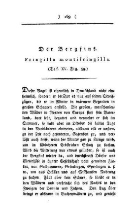 ¬Der¬ Bergfink : Fringilla montifringilla ; (Taf. XV, Fig. 59)