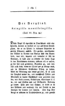 ¬Der¬ Bergfink : Fringilla montifringilla ; (Taf. XV, Fig. 59)