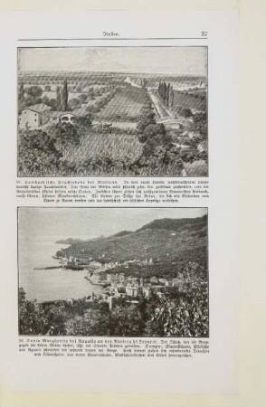 56. Santa Margherita bei Rapallo an der Riviera di Levante