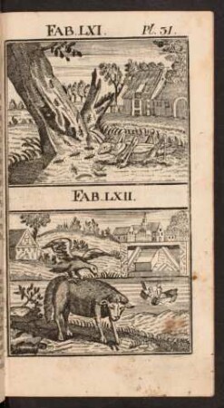 Pl. 31. Fab. LXI. Fab. LXII.