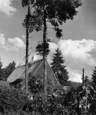 Worpswede. Wohnhaus unter Bäumen