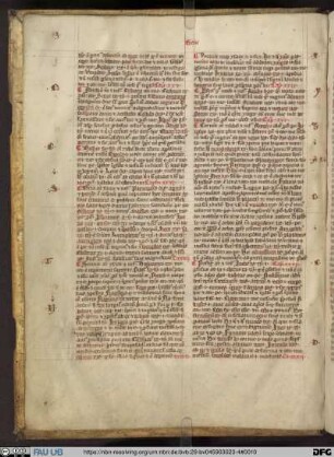 Mammotrectus - UER MS 84