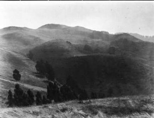 San Pablo Kuppe östlich von Berkeley : Berglandschaft
