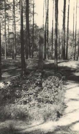 Pestsäule beim Waldbad in Wittichenau : Morowy stołp blisko lěsneje kupjele w Kulowje