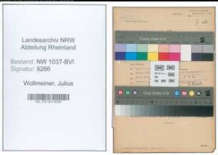 Entnazifizierung Julius Wollmeiner , geb. 08.10.1905 (Justizinspektor)