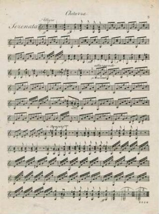 Chitarra