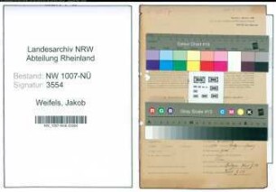 Entnazifizierung Jakob Weifels , geb. 02.11.1902 (Landwirt)