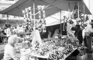 Freiburg: Marktstand mit Strohblumen