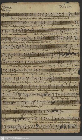 [Solo and coro:] Tenore. [Autograph]