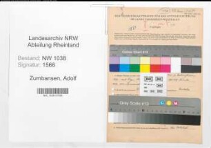 Entnazifizierung Adolf Zumbansen , geb. 16.05.1908 (Arzt)