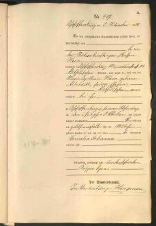 Standesamtsbuch der Stadt Aschaffenburg: Geburten 365/1900 - 184/1901
