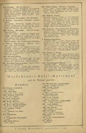 Vorstehendes Apfel-Sortiment