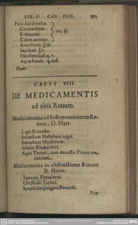 Caput VIII. De Medicamentis ad vitia Renum