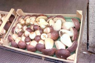 Como, eingepackte Birnen