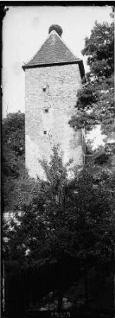 Stein Storchenturm Außenansicht