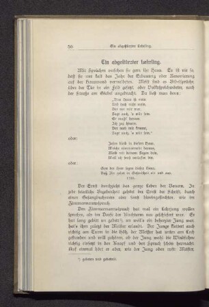 Ein abgestürzter Lehrling