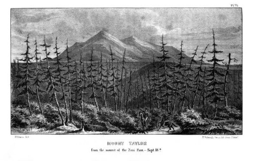 Mount Taylor