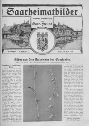 Nummer 6: Juni 1928