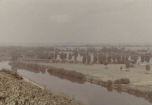 Insel Kisselwörth im Rhein bei Nackenheim