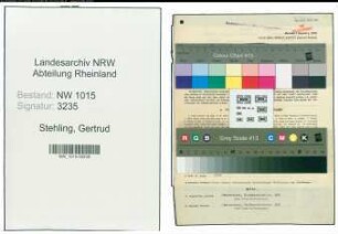 Entnazifizierung Gertrud Stehling , geb. 18.08.1895 (Stadtsekretaerin)
