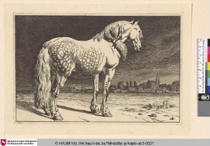[Das Friesische Pferd; The Frisian Horse]