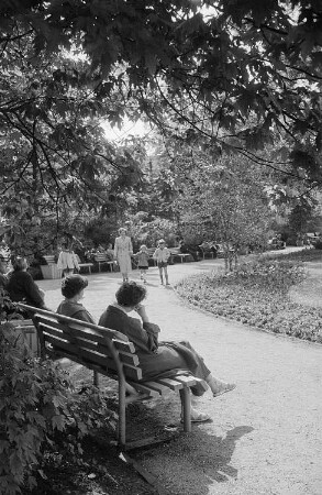 Blick in den Johannapark