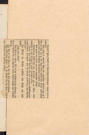 Zeitungsartikel Straßb. Neuste Nachricht Feb. 1895