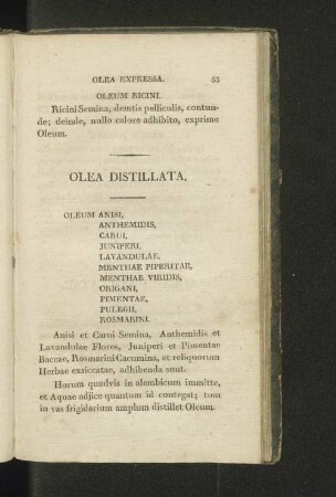 Olea distillata.