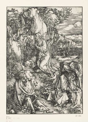 Christus am Ölberg, Blatt 3 aus: "Passio domini nostri Jesu ex hieronymo Paduano Dominico Mancino Sedulio et Baptista Mantuano per fratrem Chelidonium collecta cum figuris Alberti Dureri Norici Picoris", Nürnberg 1511