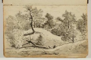 Waldlichtung