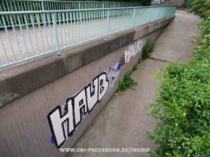 HAUB