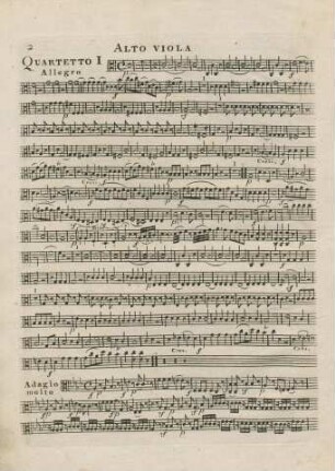 Alto Viola