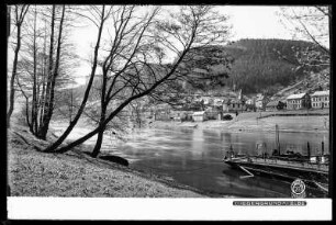 Blick auf Niedergrund an der Elbe