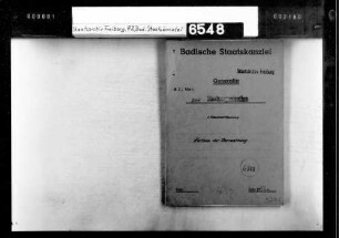 Organisation der Landesbehörden im künftigen Südweststaat