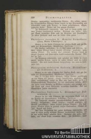 Phytolacca decandra L. Gemeine Kermesbeere. (Franz. Raisin d'Amérique.)