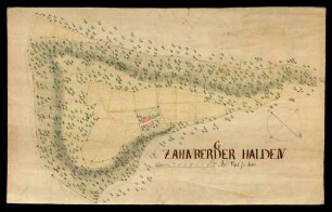 o.T. [Grundriss über die Waldung Zahnberger Halden (im Heidenheimer Forst?)]