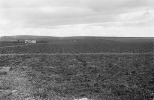 Felder : Blick über Felder einer Plantage mit Gebäude