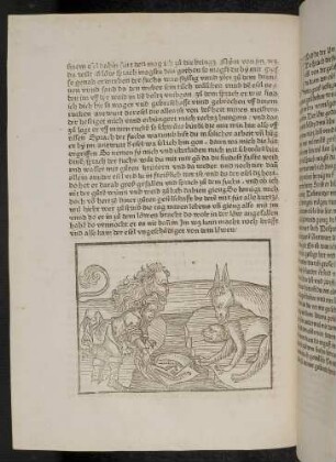 Der Weber wäscht sein Tuch im Brunnen, sein Esel und der Fuchs, der kranke Löwe ; (Kapitel VI: Von dem Affen und der Schildkröte).