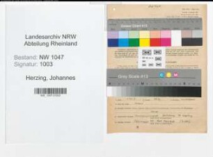 Entnazifizierung Johannes Herzing , geb. 26.04.1908 (Angestellter)