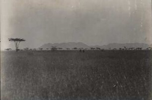 Die Ruwana - Steppe. Im Hintergrund die Barigi - Berge in Uschasch. 7 h 57