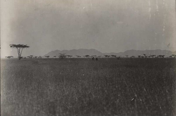 Die Ruwana - Steppe. Im Hintergrund die Barigi - Berge in Uschasch. 7 h 57