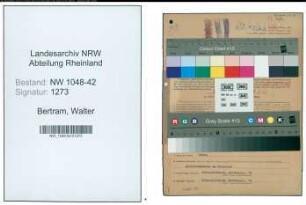 Entnazifizierung Walter Bertram , geb. 18.08.1894 (Schriftsteller)