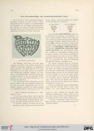 Zwei Bronzebeschläge vom norisch-pannonischen Limes