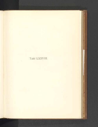 Tafel LXXVIII.