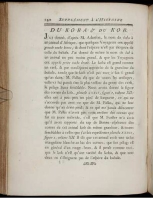 Du Koba & Du Kob.