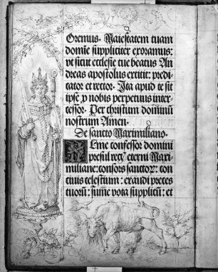 Gebetbuch Kaiser Maximilians I. — Heiliger Maximilian (zum Text gehörig), Auerochse (Wisent), Folio 25verso