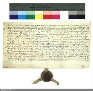 Revers Kunigundes von Merlau bezüglich der Belehnung mit einem Viertel von Schmalnau und weiteren im Einzelnen aufgeführten Lehen durch Johann Friedrich [von Schwalbach], Abt von Fulda