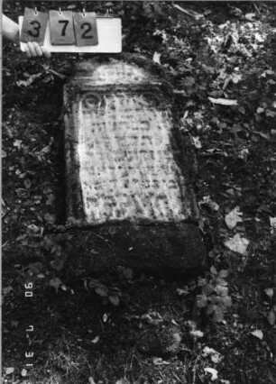 Grabstein 372 (Index: 99790783) Zustand: sehr stark verwittert Maße HxBxT: 84x39xo.A. cm: Grabstein 372